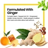 ginger hair growth shampoo